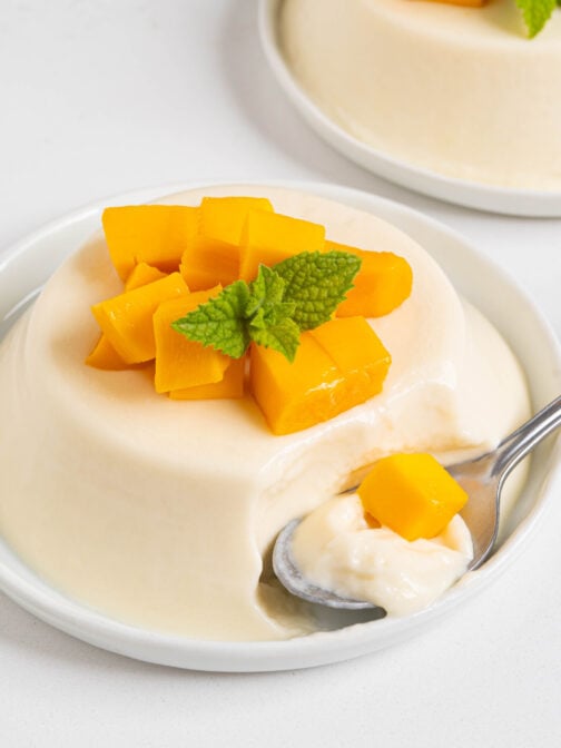 Coconut panna cotta on a plate.